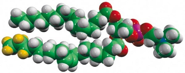 15:0-18:1-d7-PC Avanti Polar Lipids