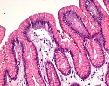 Eosin Y-Lösung, 0,5&nbsp;% alkoholisch for microscopy