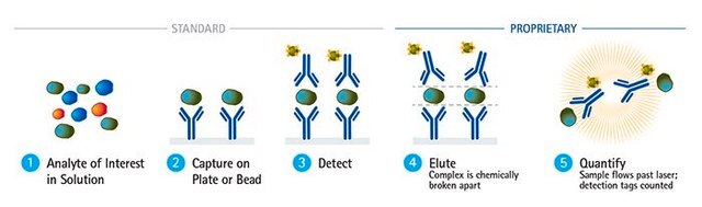 SMC&#174; Human IL-1&#946; High Sensitivity Kit 1&#160;kit sufficient for 96&#160;wells, input: plasma, serum