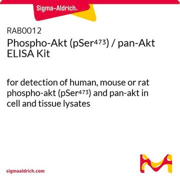 Phospho-Akt (pSer473) / pan-Akt ELISA Kit for detection of human, mouse or rat phospho-akt (pSer473) and pan-akt in cell and tissue lysates