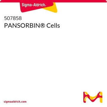 PANSORBIN&#174;-Zellen