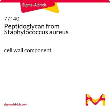 Peptidoglykan aus Staphylococcus aureus cell wall component