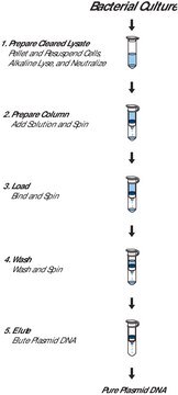 GenElute&#8482; Plasmid Miniprep-Kit sufficient for 70&#160;purifications