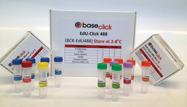 In Vivo EdU Click Kit 594 sufficient for 100 assays