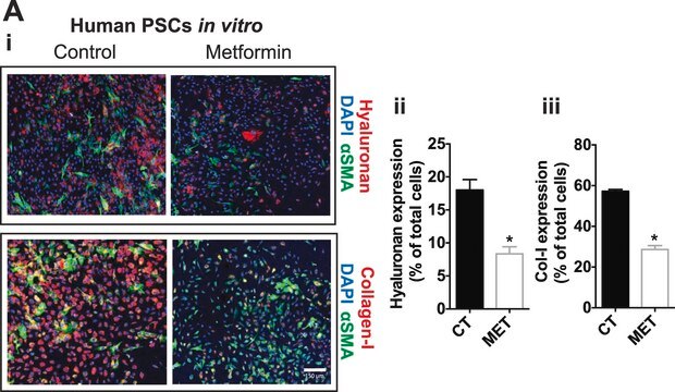 Monoklonaler Anti-Aktin, &#945;-Glattmuskel - Cy3&#8482; Maus-Antikörper clone 1A4, purified from hybridoma cell culture