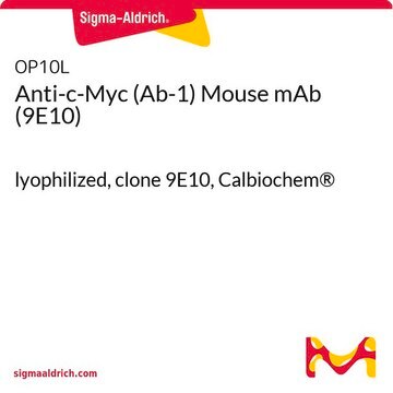 Anti-c-Myc (Ab-1) Mouse mAb (9E10) lyophilized, clone 9E10, Calbiochem&#174;