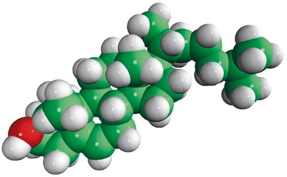 Cholesterol (plant) Avanti Polar Lipids