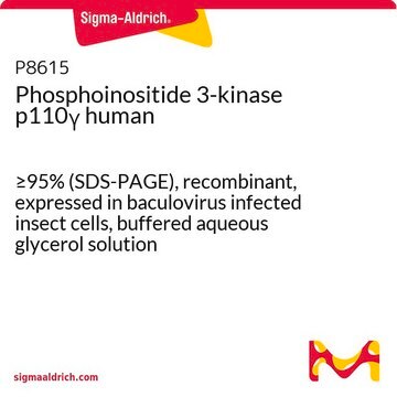 Phosphoinositide 3-kinase p110&#947; human &#8805;95% (SDS-PAGE), recombinant, expressed in baculovirus infected insect cells, buffered aqueous glycerol solution