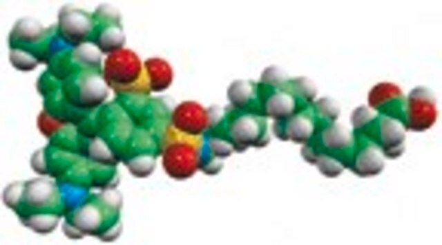 palmitic acid - lissamine rhodamine Avanti Polar Lipids 810104P, powder