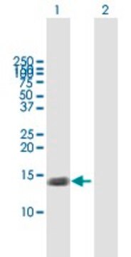 Anti-TNFRSF12A antibody produced in mouse purified immunoglobulin, buffered aqueous solution