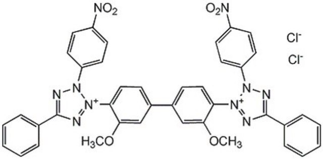 p-Nitroblau-Tetrazoliumchlorid NADPH-diaphorase substrate that competitively inhibits nitric oxide synthase (IC&#8325;&#8320; = 3-4 &#181;M).