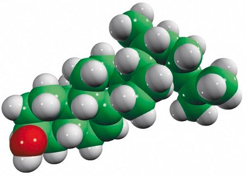 5&#945;-7,24-cholestadiene Avanti Polar Lipids 700114P, powder