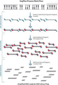 SeqPlex DNA Amplification Kit For use with high throughput sequencing technologies, Whole Genome Amplification kit designed to facilitate Next Gen Sequencing.