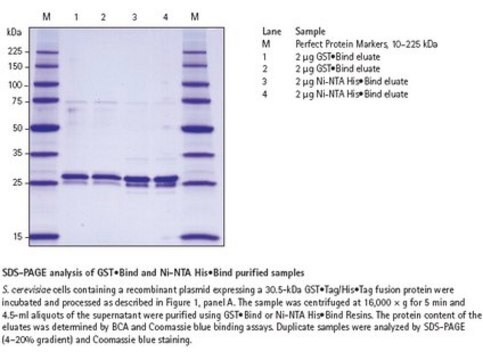 YeastBuster Protein Extraction Reagent Efficient extraction of protein from yeast without mechanical disruption and enzymatic lysis