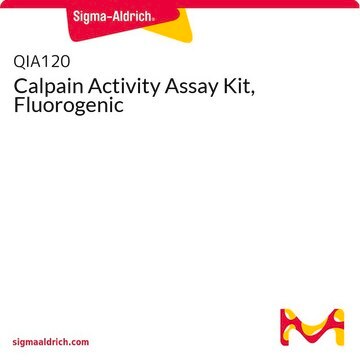 Calpain Activity Assay Kit, Fluorogenic