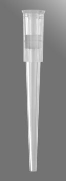 Pipette tips capacity 200&#160;&#956;L, wide bore, filtered, clear, sterile