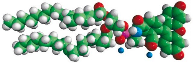 18:1 PE CF Avanti Polar Lipids 810332P, powder