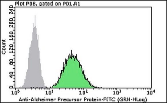 Anti-Alzheimer Precursor Protein A4 (NT)-FITC Antibody, clone 22C11 clone 22C11, Milli-Mark&#174;, from mouse