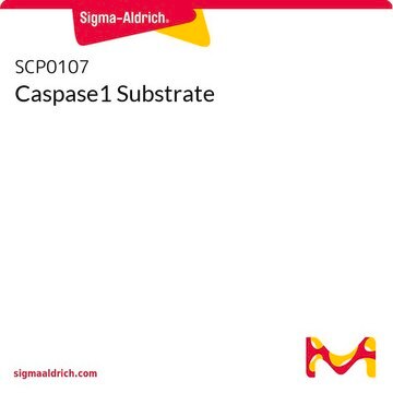 Caspase1 Substrate