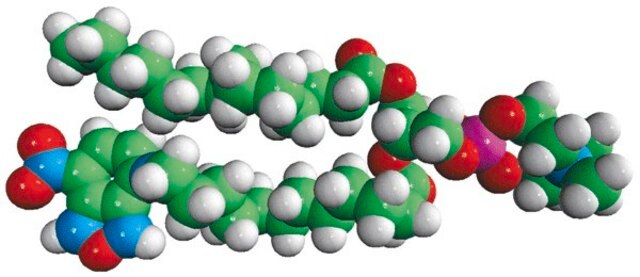 14:0-12:0 NBD PC Avanti Polar Lipids 810123P, powder