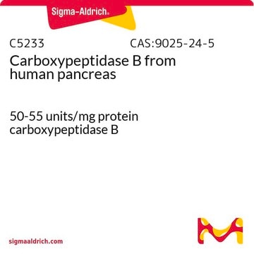 Carboxypeptidase&#160;B aus meschlichem Pankreas 50-55&#160;units/mg protein carboxypeptidase B