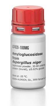 Amyloglucosidase aus Aspergillus niger lyophilized powder, 30-60&#160;units/mg protein (biuret), &#8804;0.02% glucose