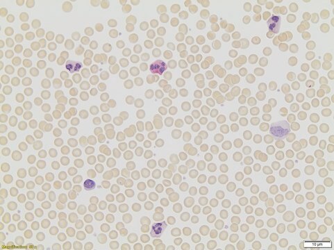 Alkalische Leukozytenphosphatase-Kit based on naphthol AS-BI and fast red violet LB