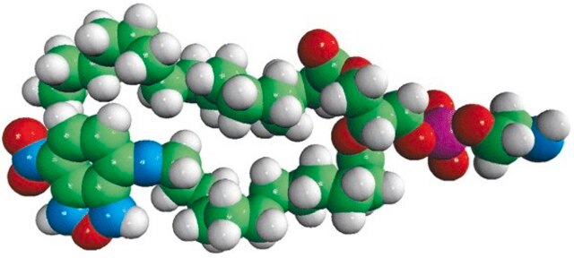 16:0-12:0 NBD PE Avanti Polar Lipids 810154P, powder