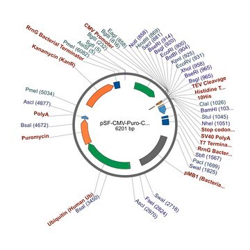 PSF-CMV-PURO-COOH-TEV-10HIS - C-TERMINAL 10HIS TAG MAMMALIAN PLASMID plasmid vector for molecular cloning