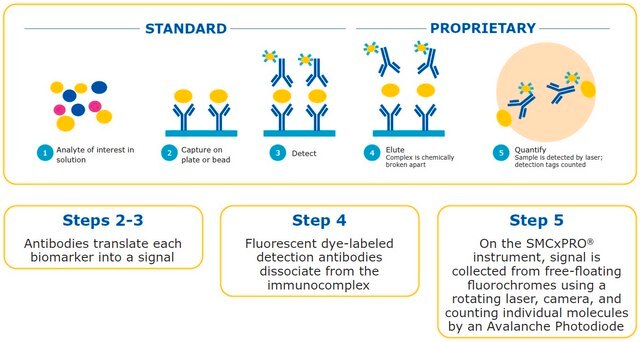 ISMC&#174;-Human-NF-L-Immunassay-Kit mit hoher Sensitivität kit sufficient for 96 wells