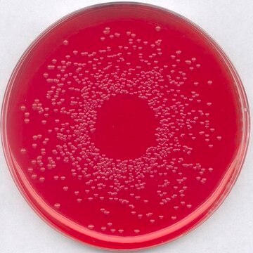 GranuCult&#174; BPLS agar, modified pkg of 500&#160;g, for Salmonella spp.