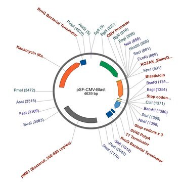 PSF-CMV-BLAST - CMV PROMOTER BLASTICIDIN RESISTANT PLASMID plasmid vector for molecular cloning