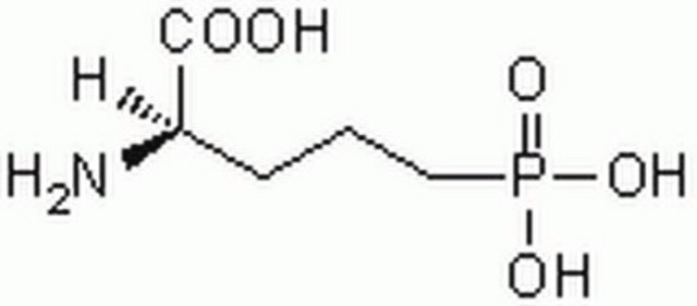 D(&#8211;)-2-Amino-5-phosphonopentansäure Active enantiomer of DL-2-amino-5-phosphonopentanoic acid (AP5) that is a commonly used as a competitive NMDA receptor antagonist.