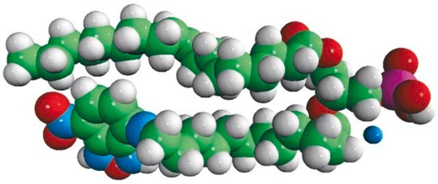 18:1-12:0 NBD PA Avanti Polar Lipids 810176P, powder