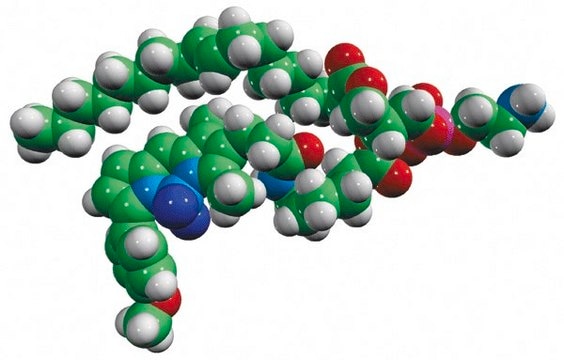 TopFluor&#174; TMR PE Avanti Polar Lipids 810241P, powder