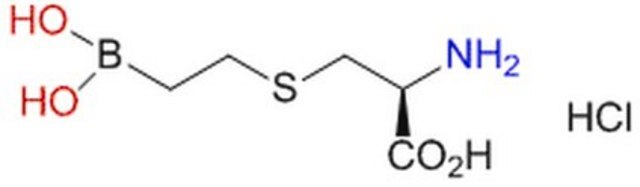 BEC, Hydrochloride A boronic acid-based arginine analog that acts as a slow-binding, competitive transition state inhibitor of arginases I and II (Ki = 310 nM for human recombinant type II arginase, pH 7.5).