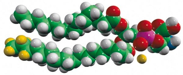 15:0-18:1-d7-PS Avanti Polar Lipids