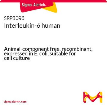 Interleukin-6 human Animal-component free, recombinant, expressed in E. coli, suitable for cell culture