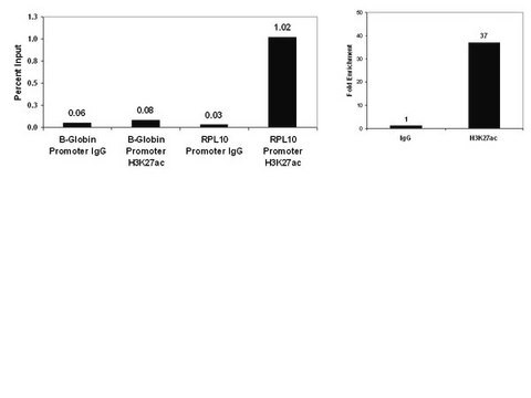 ChIPAb+-Acetyl-Histon&nbsp;H3 (Lys27) - durch ChIP validiertes Antikörper- und Primer-Set clone CMA309, from mouse