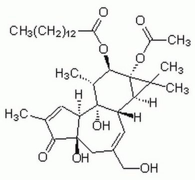 Phorbol-12-myristat-13-acetat Phorbol-12-myristate-13-acetate, CAS 16561-29-8, is the most common phorbol ester. Activates PKC at nanomolar concentrations.