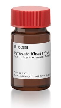 Pyruvat-Kinase aus Kaninchenmuskel Type III, lyophilized powder, 350-600&#160;units/mg protein