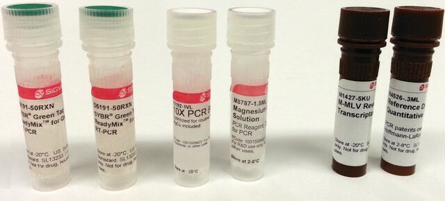 SYBR&#174; Green Quantitative RT-qPCR Kit One step SYBR&#174; Green RT-qPCR with MMLV &amp; hot-start Taq DNA Polymerase