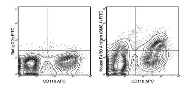 Anti-F4/80 (mouse), FITC, clone BM8.1 Antibody clone BM8.1, from rat, FITC conjugate