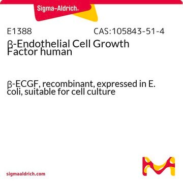 &#946;-Endothelial Cell Growth Factor human &#946;-ECGF, recombinant, expressed in E. coli, suitable for cell culture