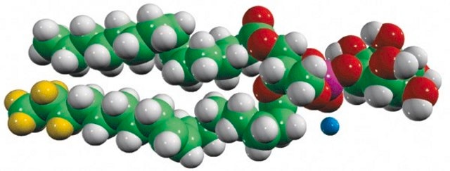 15:0-18:1-d7-PI Avanti Polar Lipids