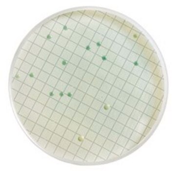 WL-Differenzial-Agar suitable for microbiology, NutriSelect&#174; Plus