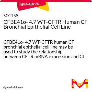 CFBE41o- 4.7 WT-CFTR Human CF Bronchial Epithelial Cell Line CFBE41o- 4.7 WT-CFTR human CF bronchial epithelial cell line may be used to study the relationship between CFTR mRNA expression and Cl transport function.