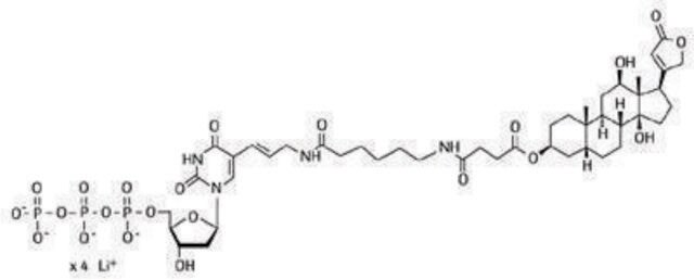 DIG-High Prime sufficient for 40&#160;labeling reactions, pkg of 160&#160;&#956;L, solution