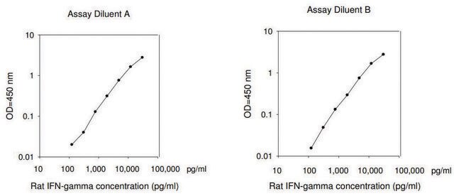 Rat IFN-&#947; ELISA Kit for serum, plasma and cell culture supernatant