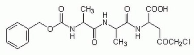 Granzym&nbsp;B-Inhibitor&nbsp;I The Granzyme B Inhibitor I controls the biological activity of Granzyme B. This small molecule/inhibitor is primarily used for Cancer applications.